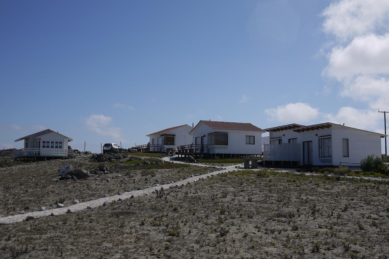Las Hualas Punta Choros Exterior foto
