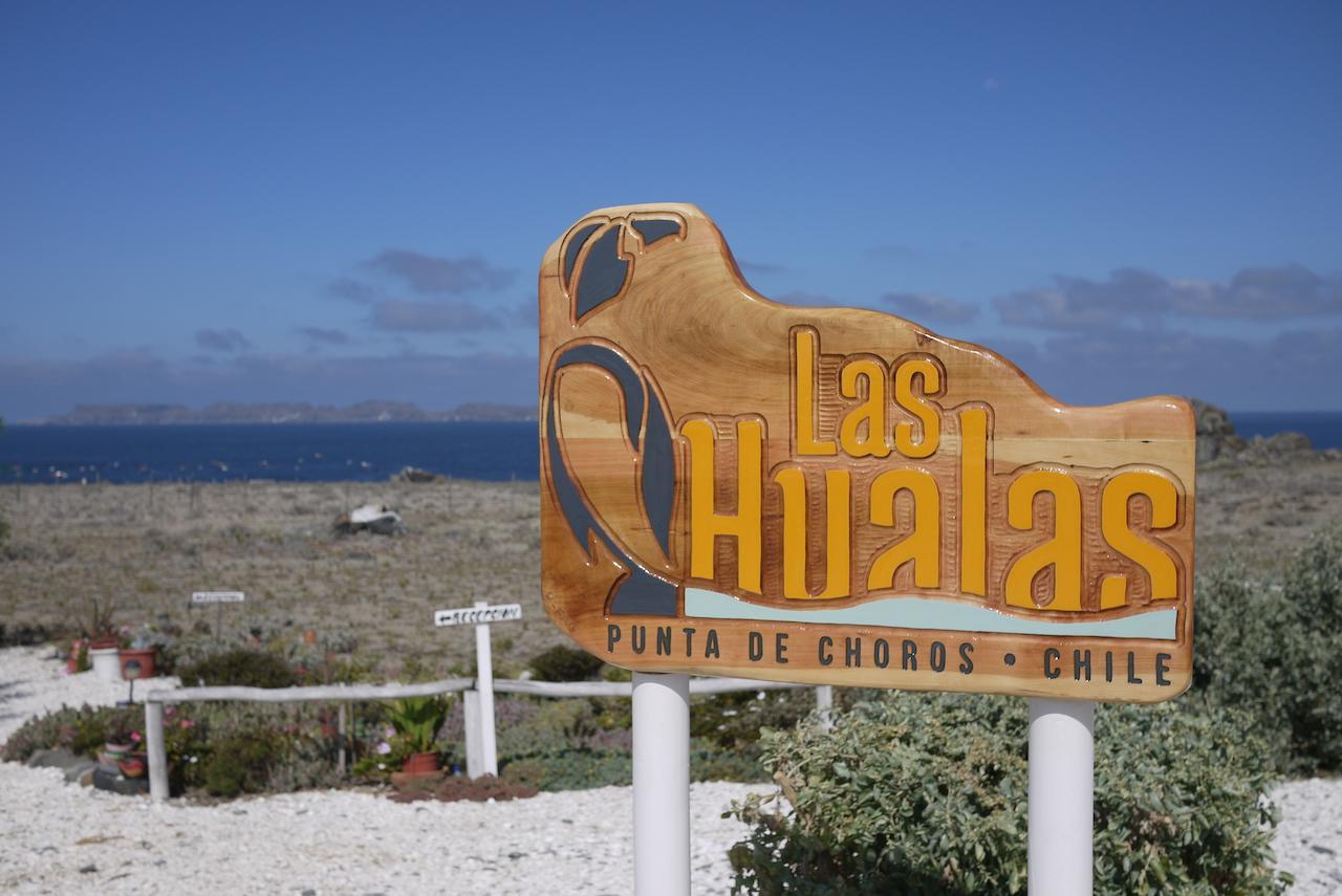 Las Hualas Punta Choros Exterior foto