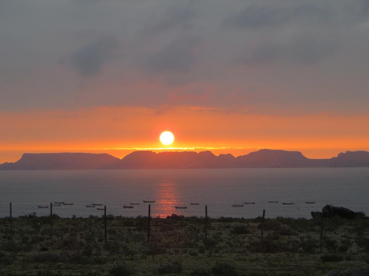 Las Hualas Punta Choros Exterior foto