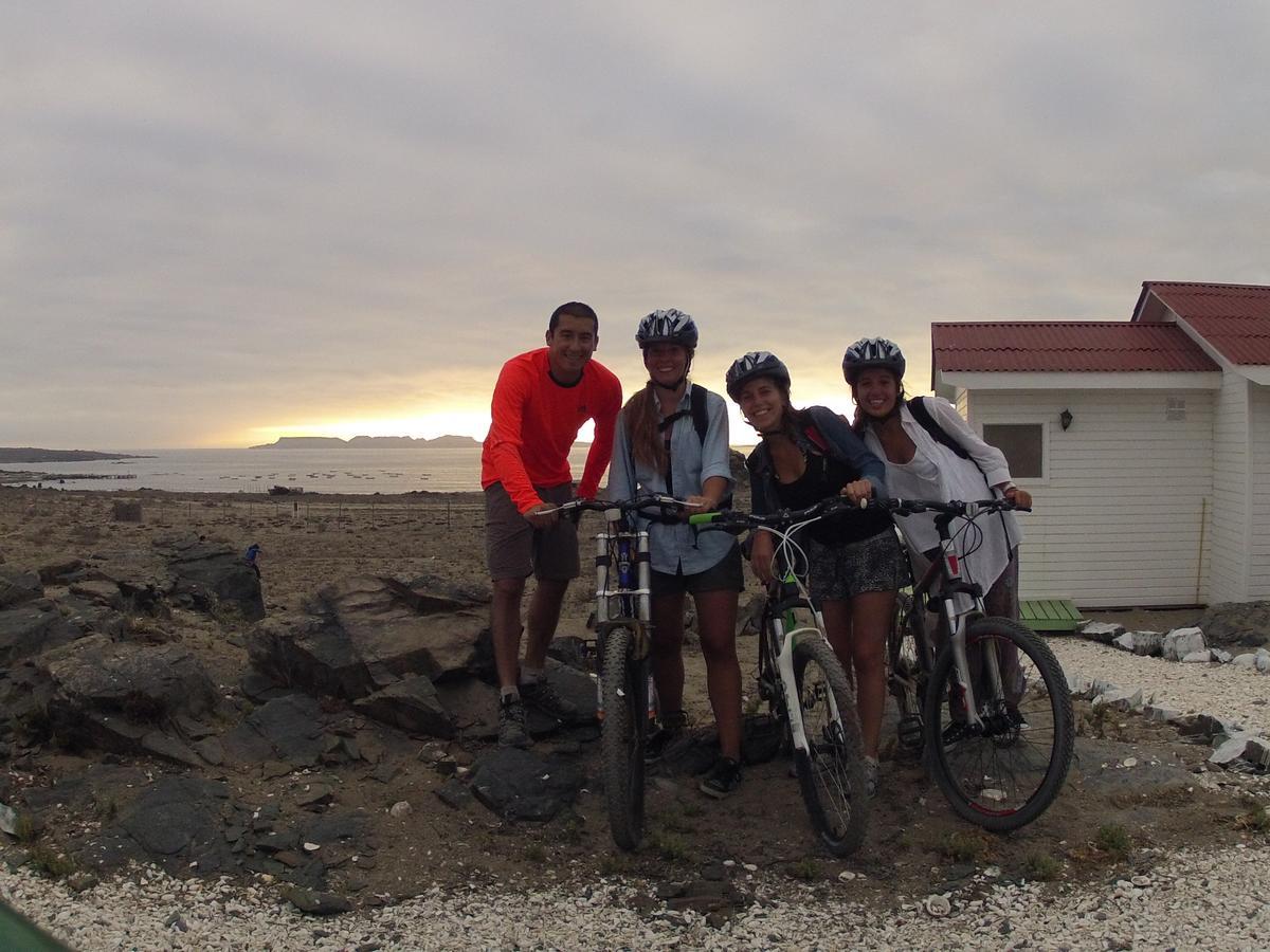 Las Hualas Punta Choros Exterior foto