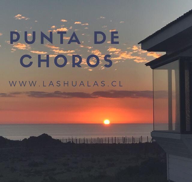 Las Hualas Punta Choros Exterior foto