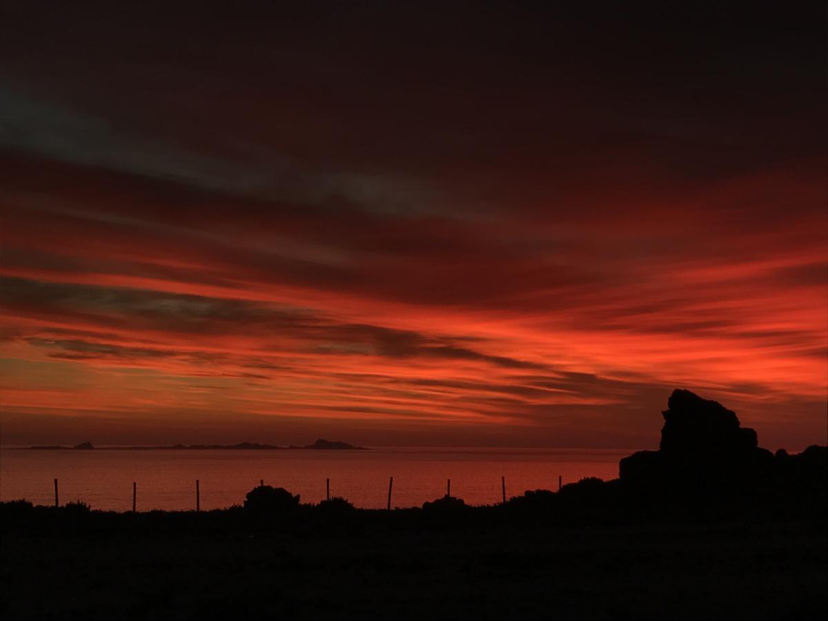 Las Hualas Punta Choros Exterior foto