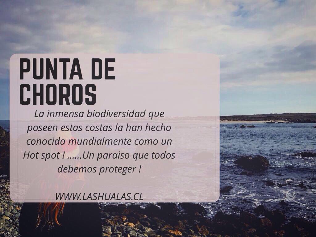 Las Hualas Punta Choros Exterior foto