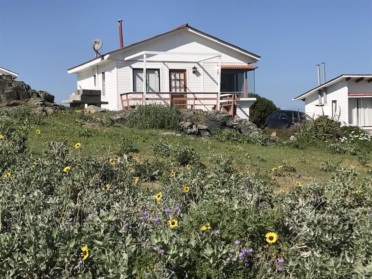 Las Hualas Punta Choros Exterior foto